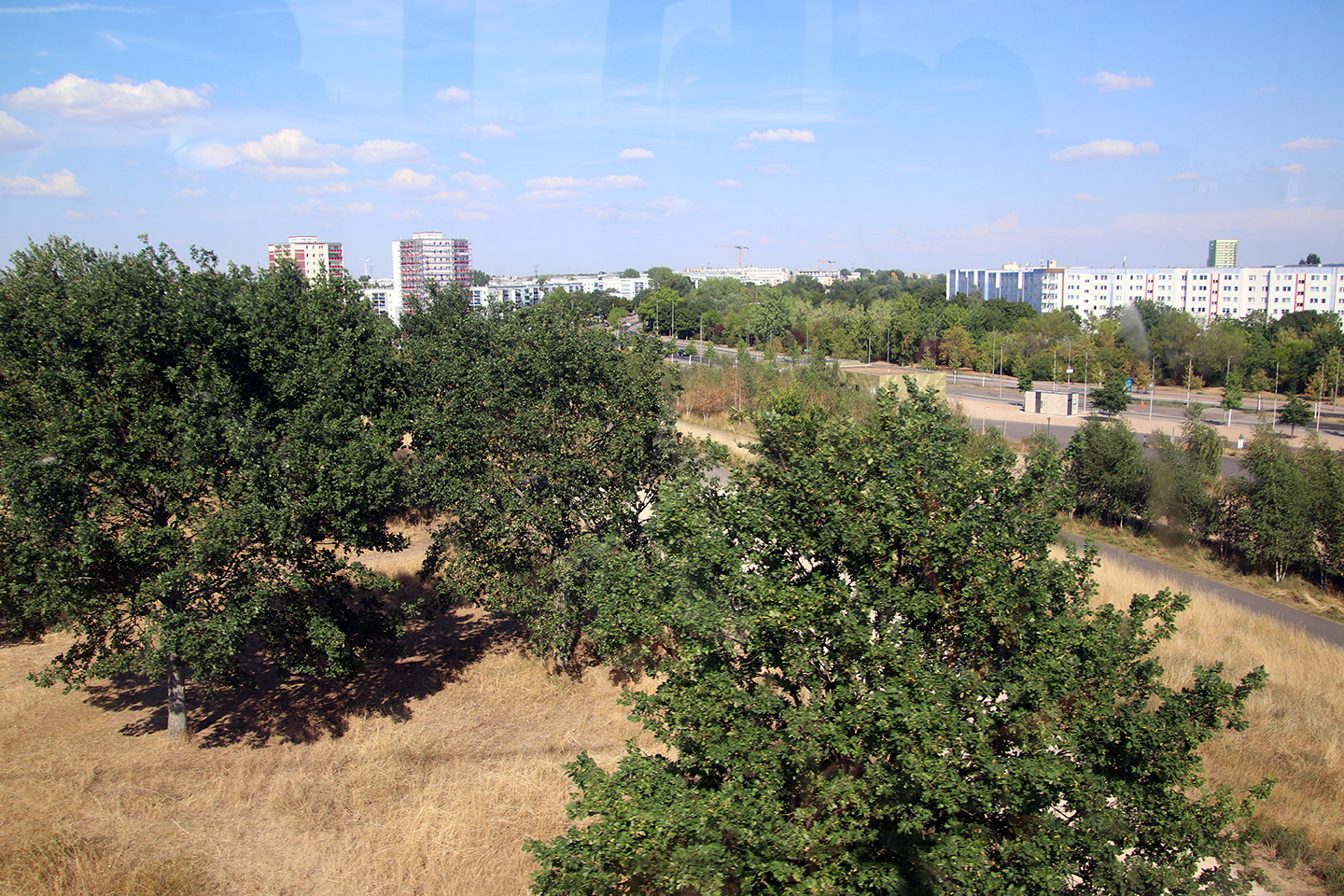 IMG_6448_1440x960