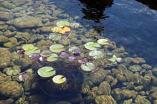 IMG_6386_1440x960