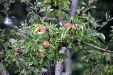 IMG_6389_1440x960